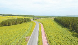 生态美：中国行动 世界瞩目