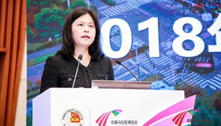 中国马拉松遭遇“成长烦恼”?田协:未来将加大“管服”力度