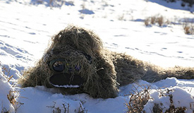 霸气!“狙击精英”雪域高原练狙杀
