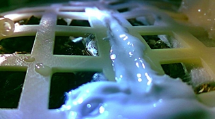 嫦娥四号生物科普试验载荷中的棉花种子发芽